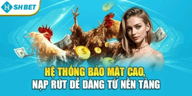 Hệ thống bảo mật cao, nạp rút dễ dàng từ nền tảng
